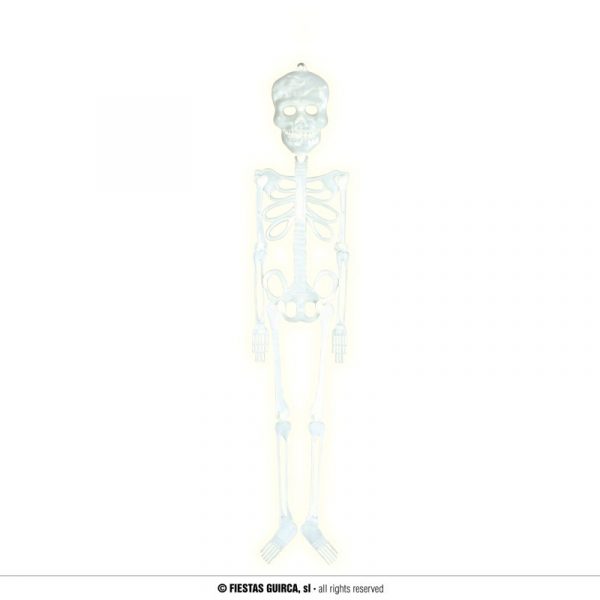 Esqueleto fosforescente 75 cm